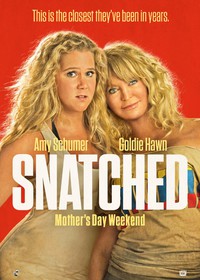 Snatched (2017)