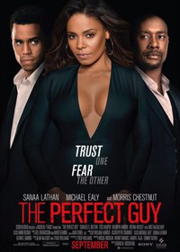 The Perfect Guy (2015)